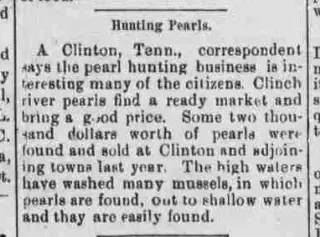 other Newspaper clipping from May 28, 1896 5973385