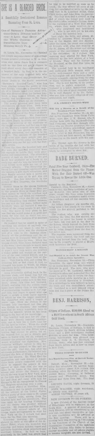 Marriage Newspaper clipping from Nov 17, 1895 5976286