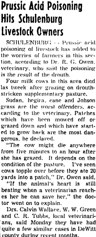 other Newspaper clipping from Aug 2, 1954 5978055