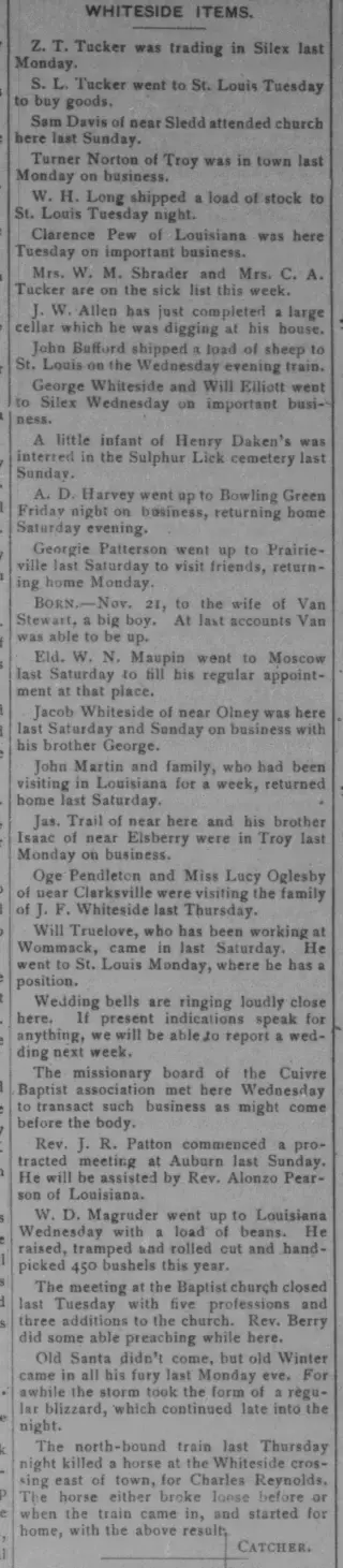 other Newspaper clipping from Nov 29, 1895 5985518