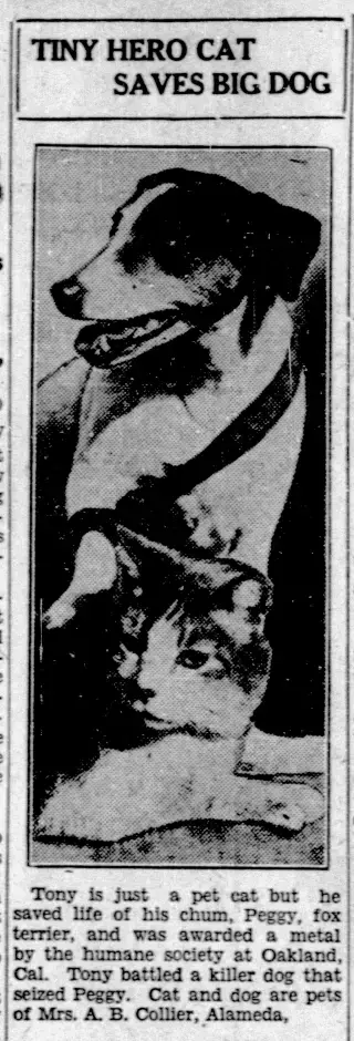 other Newspaper clipping from Mar 11, 1930 5985881