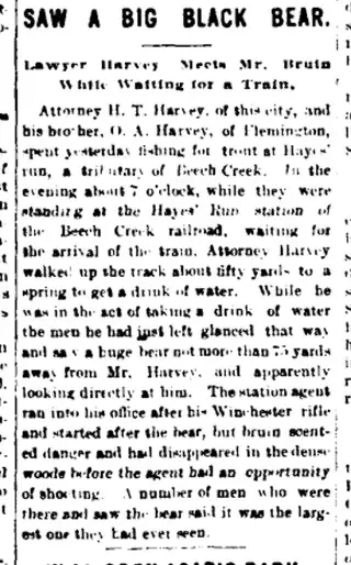 other Newspaper clipping from Jul 11, 1901 5994451