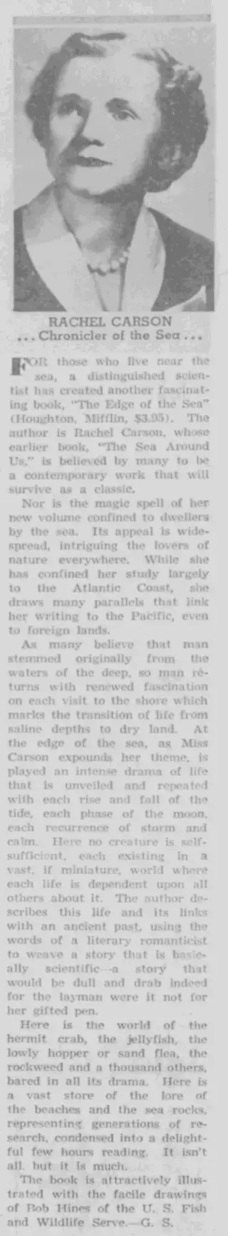 other Newspaper clipping from Nov 20, 1955 5995376