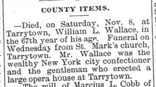 other Newspaper clipping from Nov 15, 1890 5995984