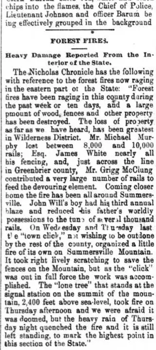other Newspaper clipping from May 12, 1885 5998469