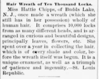 other Newspaper clipping from Apr 20, 1894 6024081