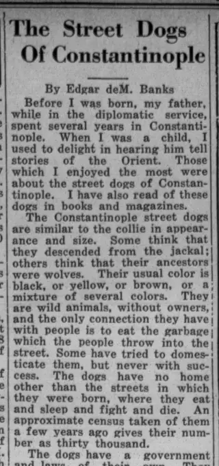 other Newspaper clipping from Jul 28, 1933 6035375
