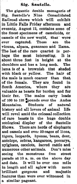 other Newspaper clipping from Aug 3, 1904 6041511