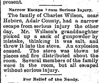 other Newspaper clipping from Nov 22, 1894 6047749