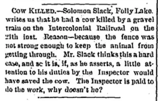 other Newspaper clipping from Jul 31, 1873 6049916