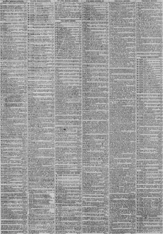 other Newspaper clipping from Apr 20, 1873 6053176