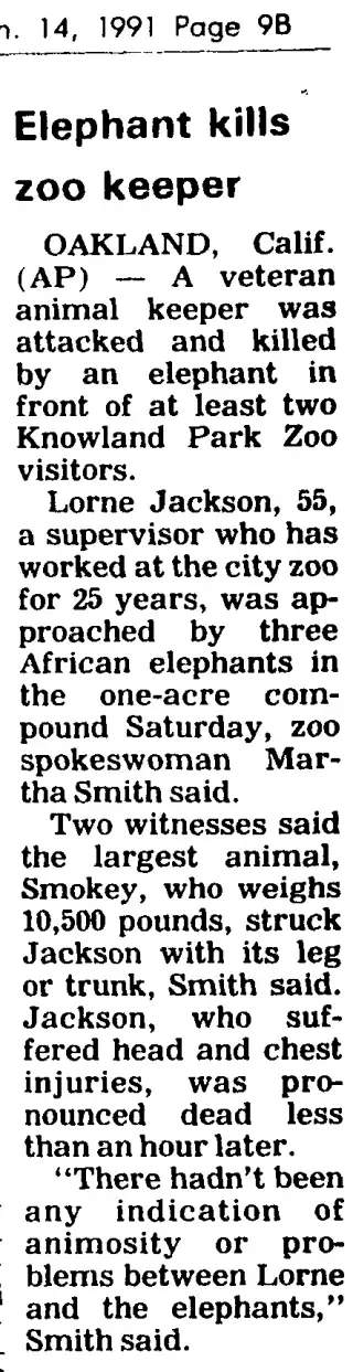other Newspaper clipping from Jan 14, 1991 6059253
