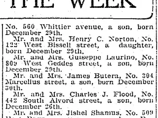 Birth Newspaper clipping from Jan 4, 1919 6066303