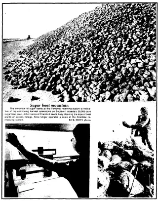 other Newspaper clipping from Oct 20, 1973 6067522