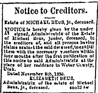 other Newspaper clipping from Nov 27, 1880 6072743