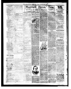 Queanbeyan Observer Newspaper Archives, Nov 8, 1895, p. 4